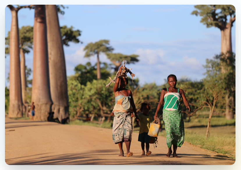 Madagascar — Agence CAPSULE
